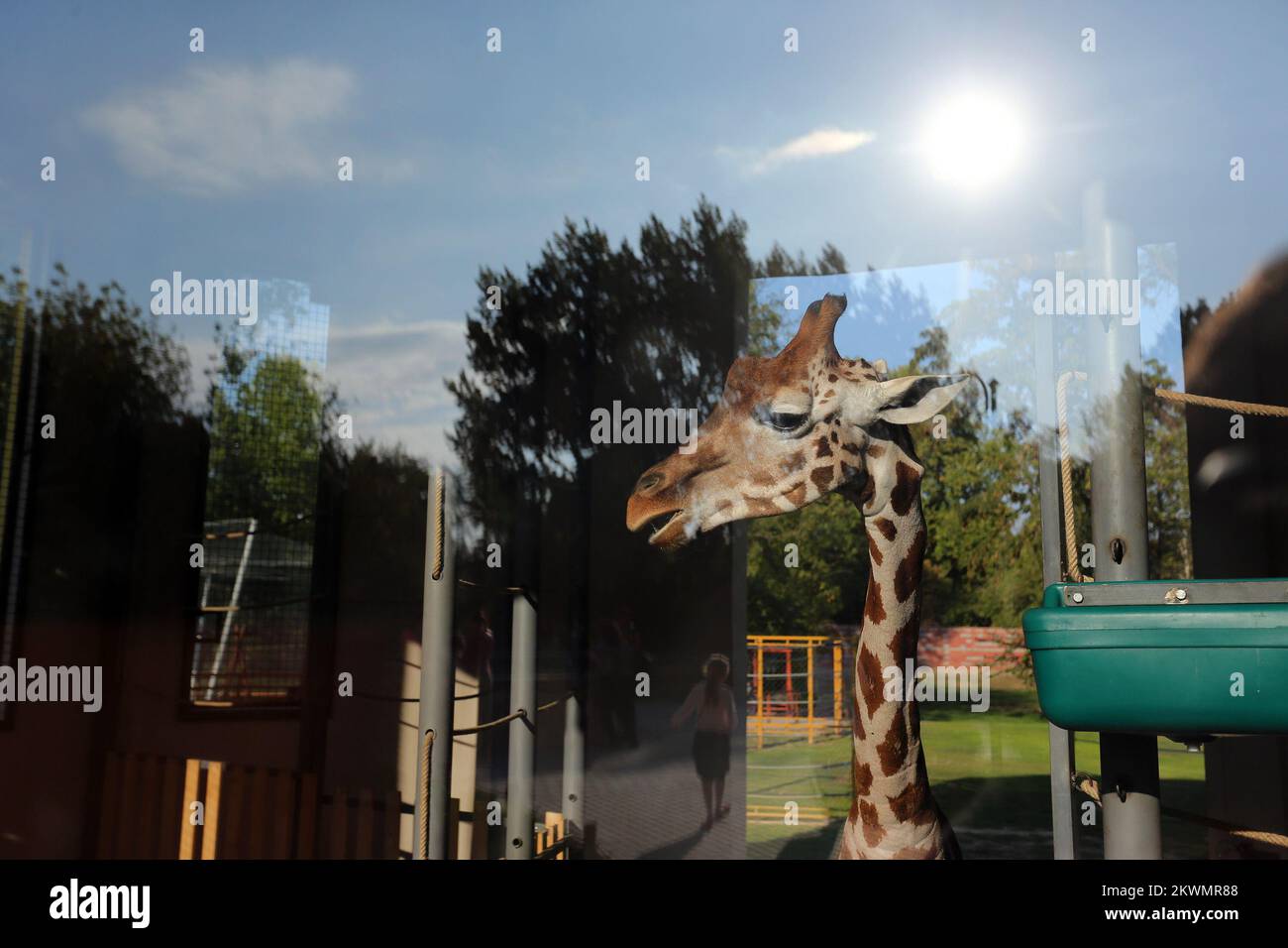 11.10.2012., Skopje, Macedonia ZOO in Skopje was founded in 1926 by a