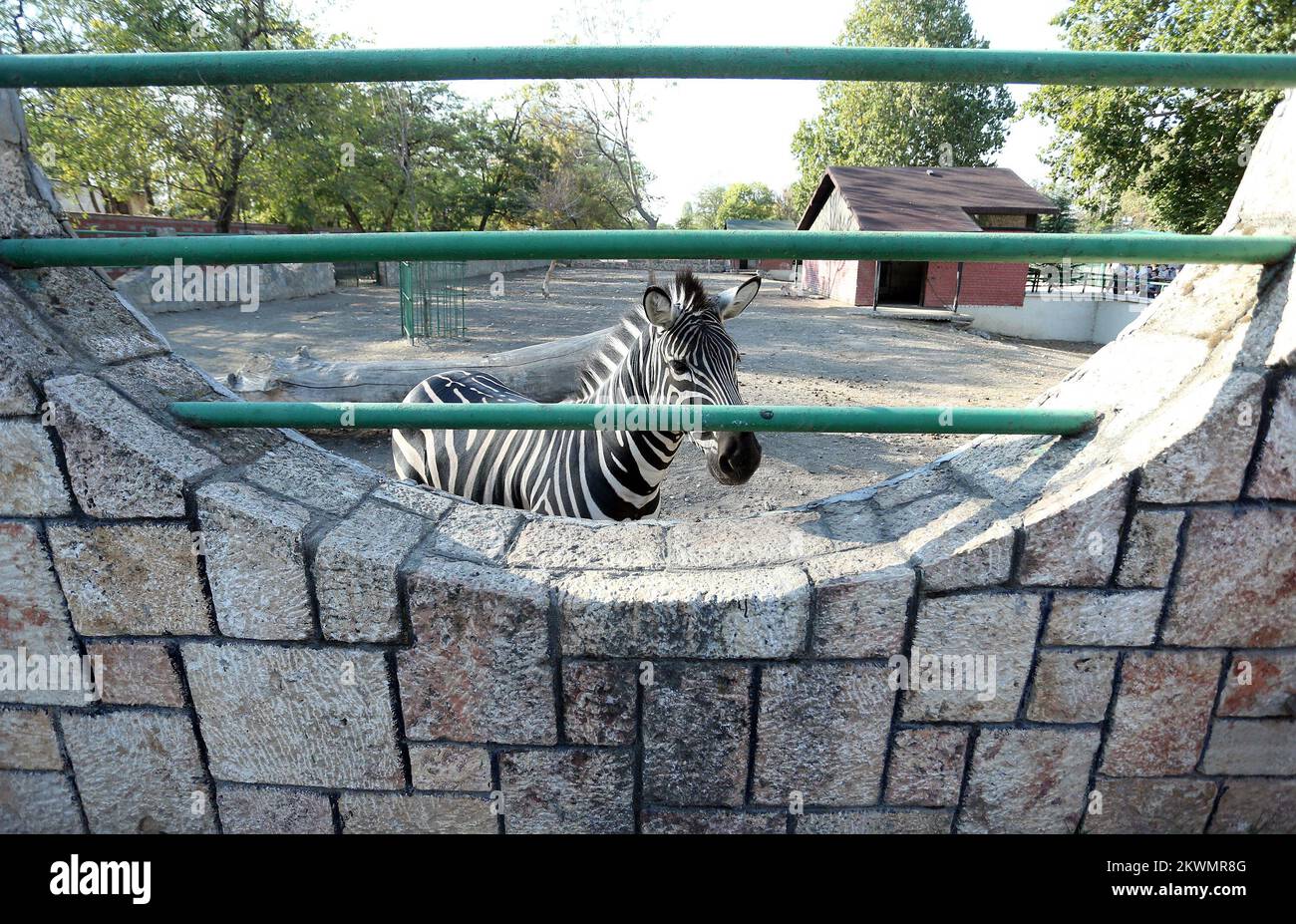 11.10.2012., Skopje, Macedonia ZOO in Skopje was founded in 1926 by a