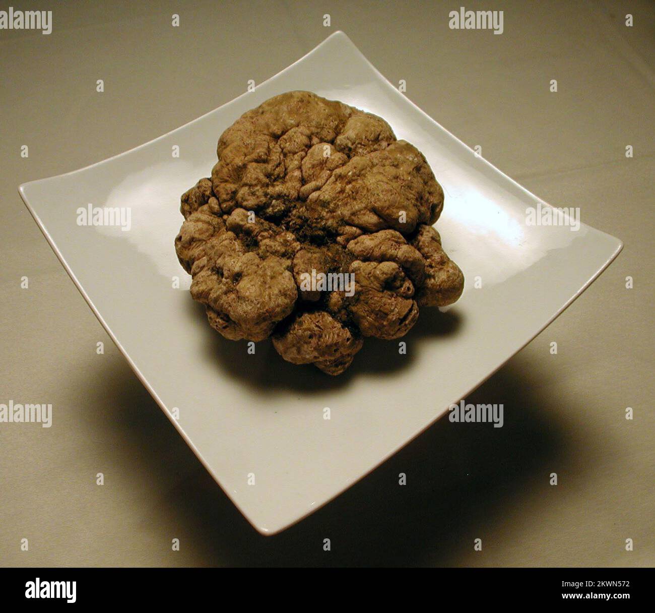 Croatia as the 28th EU Member State truffles Truffles are highly