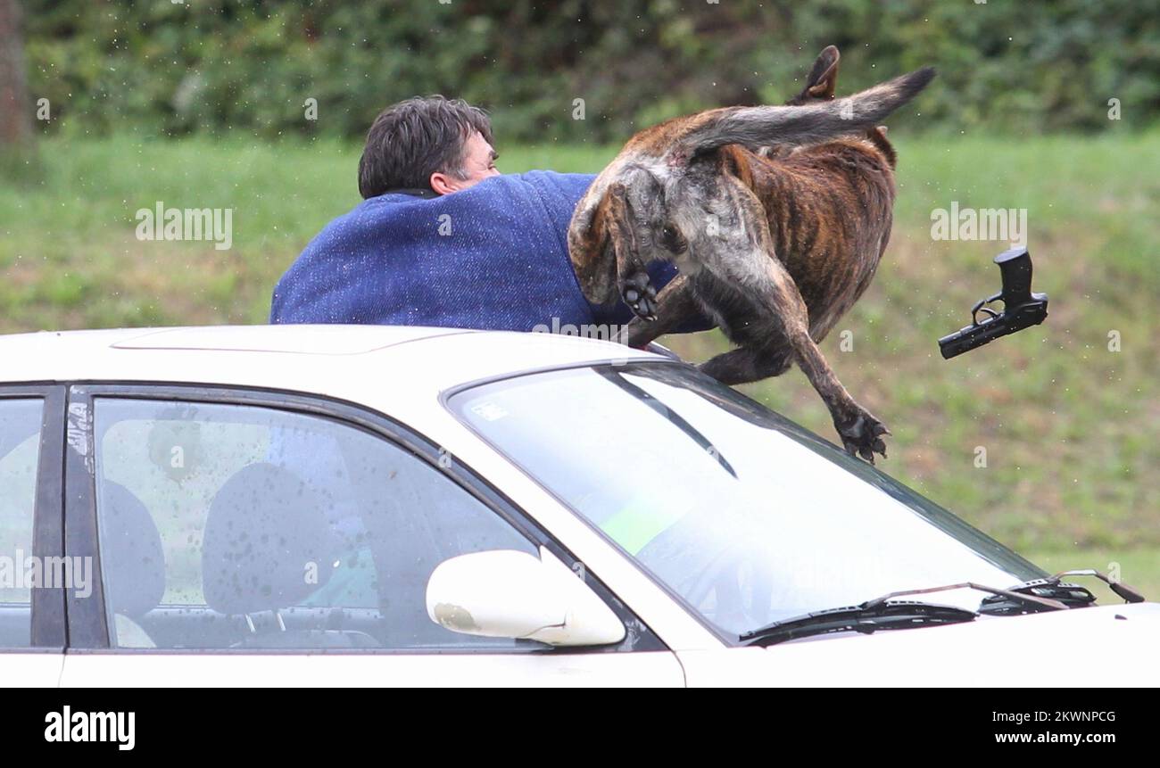 11-09-2013-dugo-selo-croatia-the-ceremony-marking-the-22nd