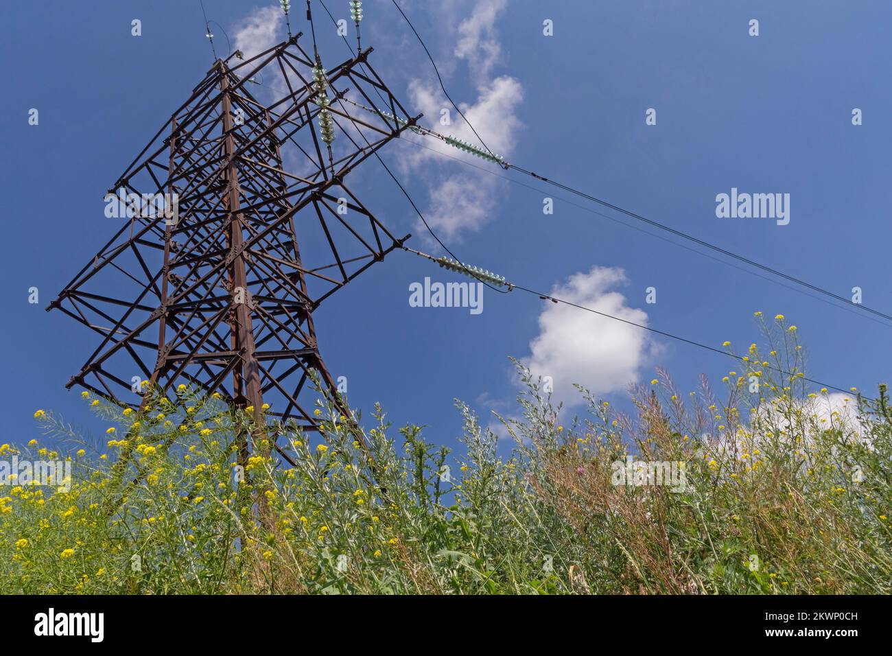 view on electricity pylon standing in field at summer Stock Photo