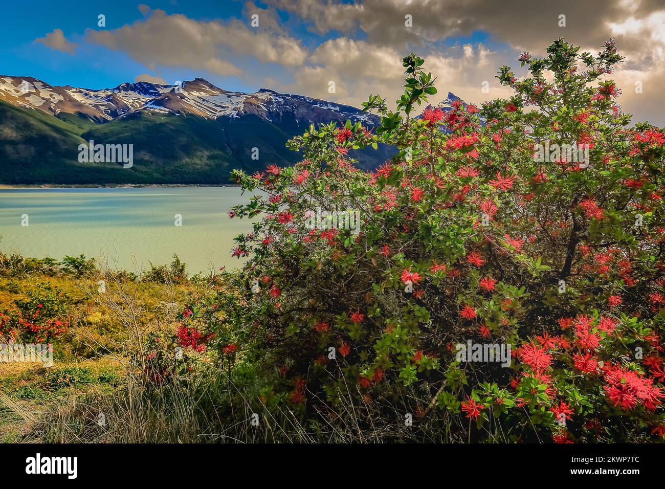 Snowcapped Andes and Lake Argentina near El calafate, Patagonia ...