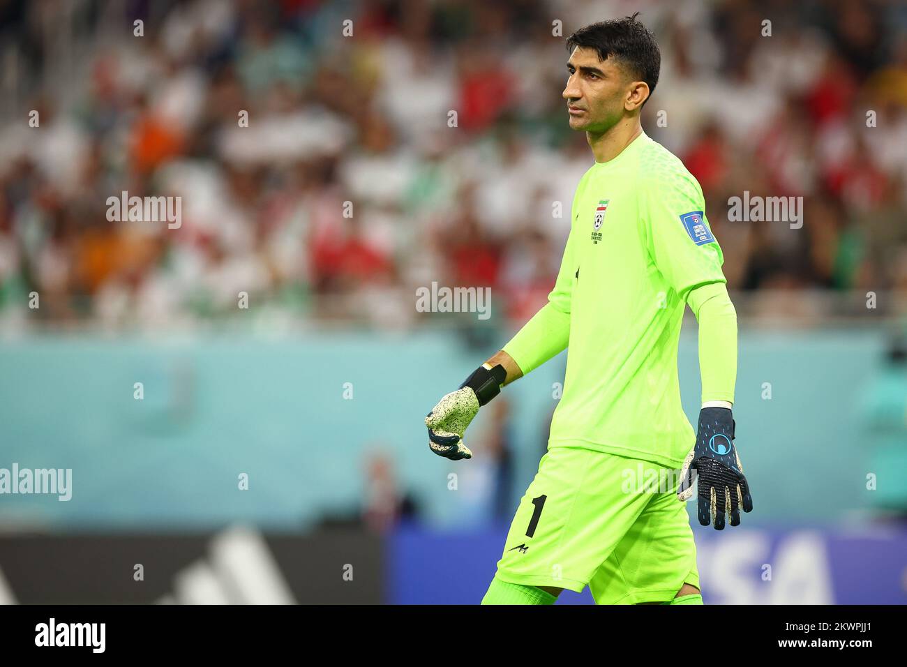 Alireza hi-res stock photography and images - Page 3 - Alamy