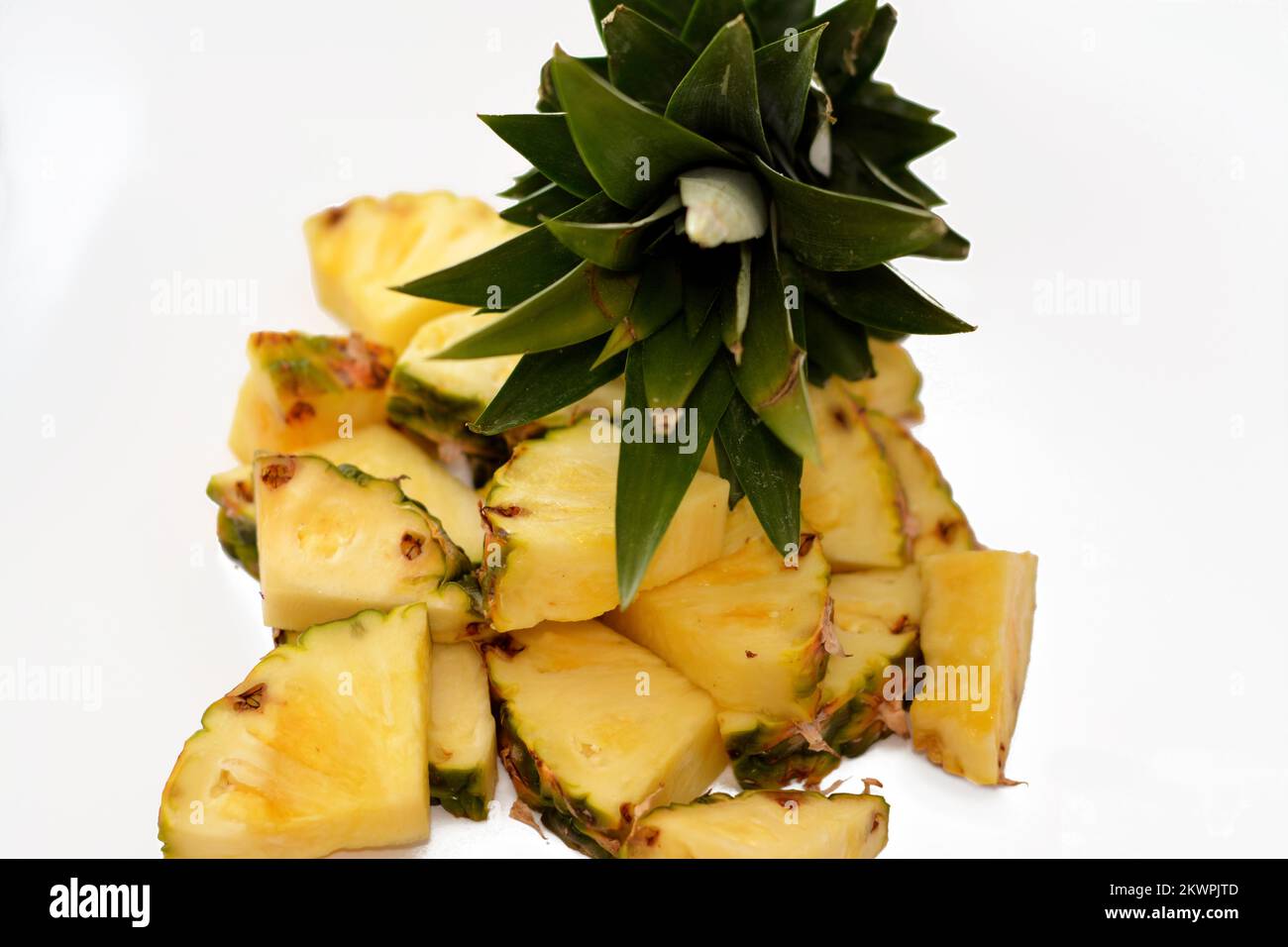 The Pineapple (Ananas comosus), a tropical plant with an edible fruit ...