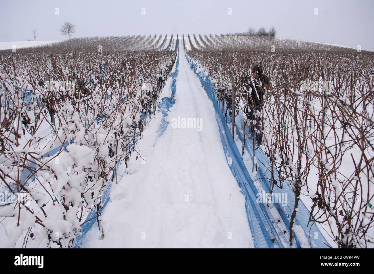 Standard protocol hires stock photography and images Alamy