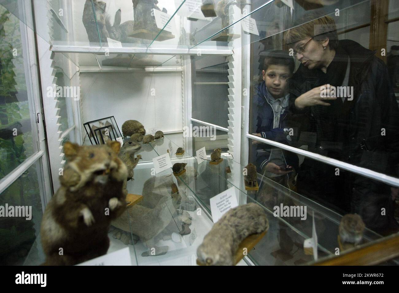 31.01.2014., Zagreb, Croatia Croatian Museum Society this year also organized the Museum Night