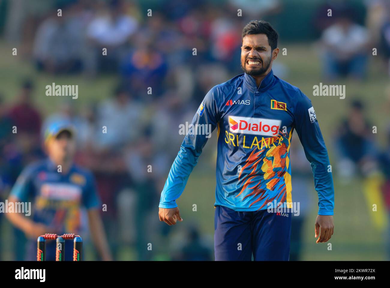 Kandy, Sri Lanka. 30th November 2022. Sri Lanka's Dhananjaya de Silva  reacts after bowling during the 3rd ODI cricket match between Sri Lanka vs  Afghanistan at the Pallekele International Cricket Stadium in