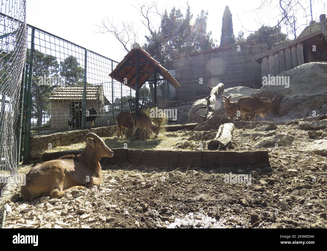 17.03.2014., Split, Croatia Split zoo is set to close after