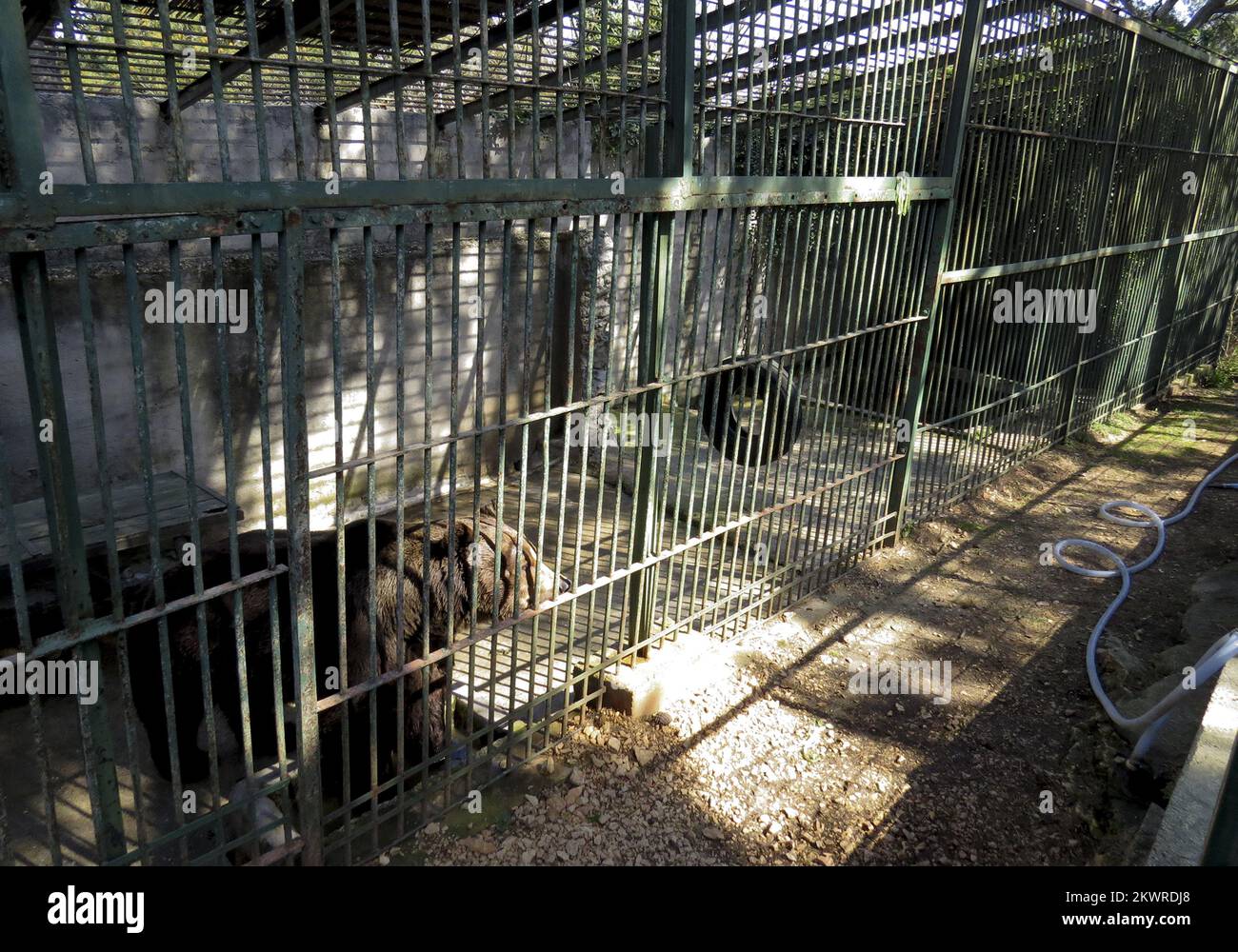 17.03.2014., Split, Croatia Split zoo is set to close after
