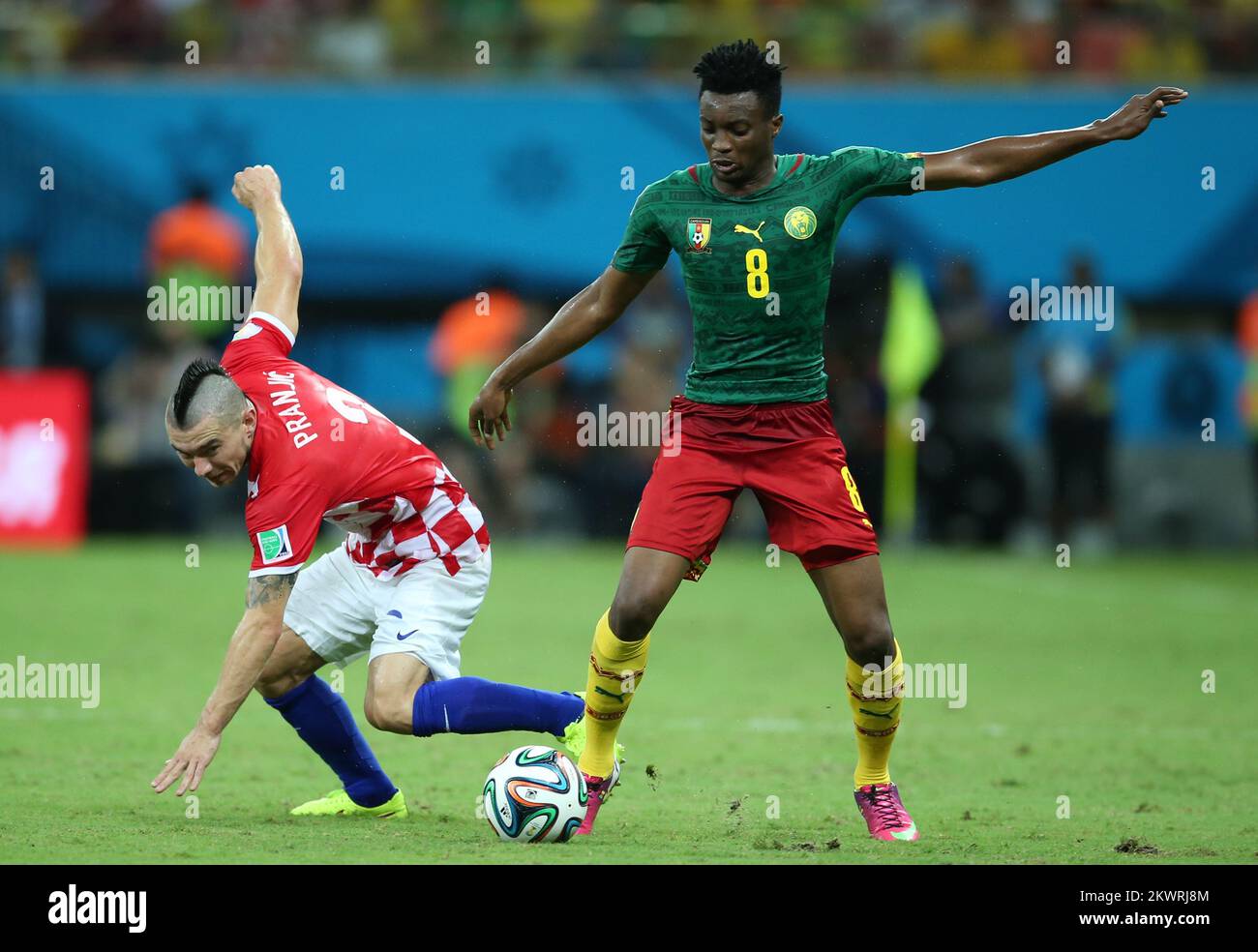 2014 FIFA World Cup group A game against Cameroon and Croatia. Danijel Pranjic, Benjamin Moukandjo Photo: Sanjin Strukic/PIXSELL Stock Photo