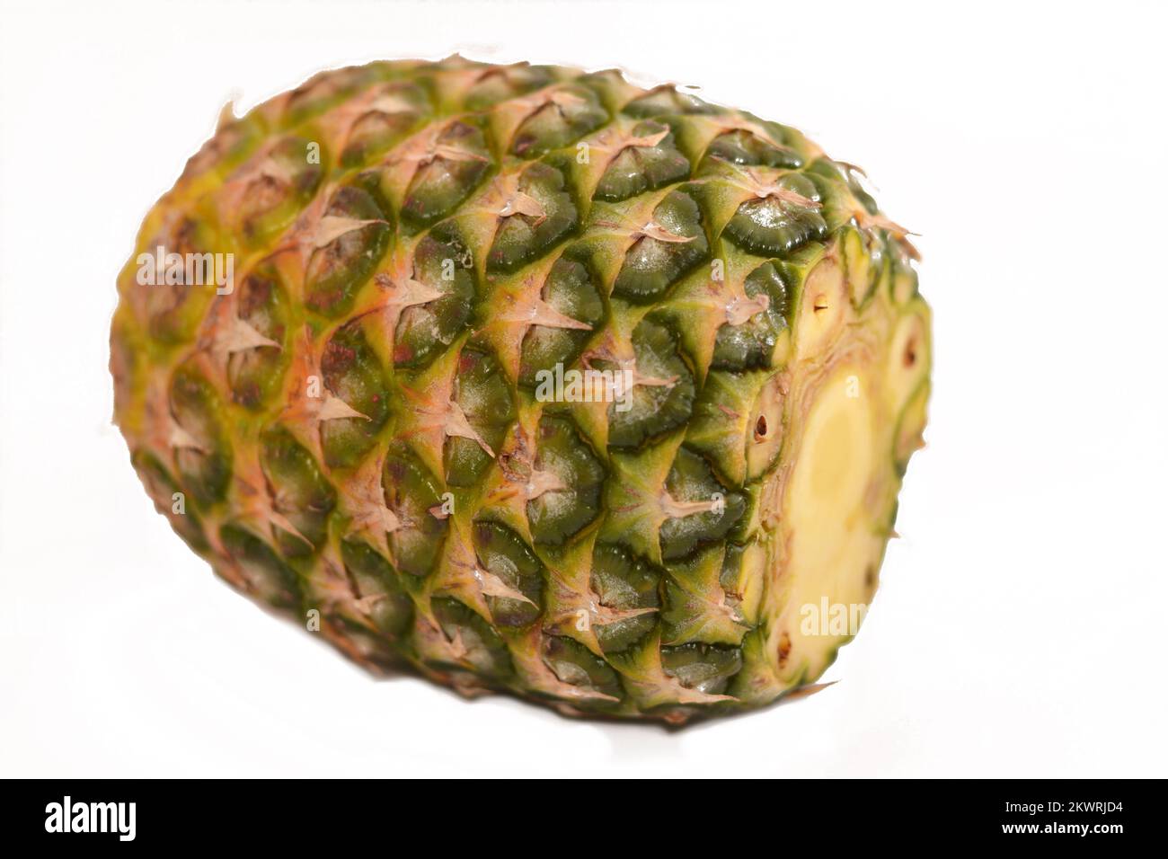 Pina