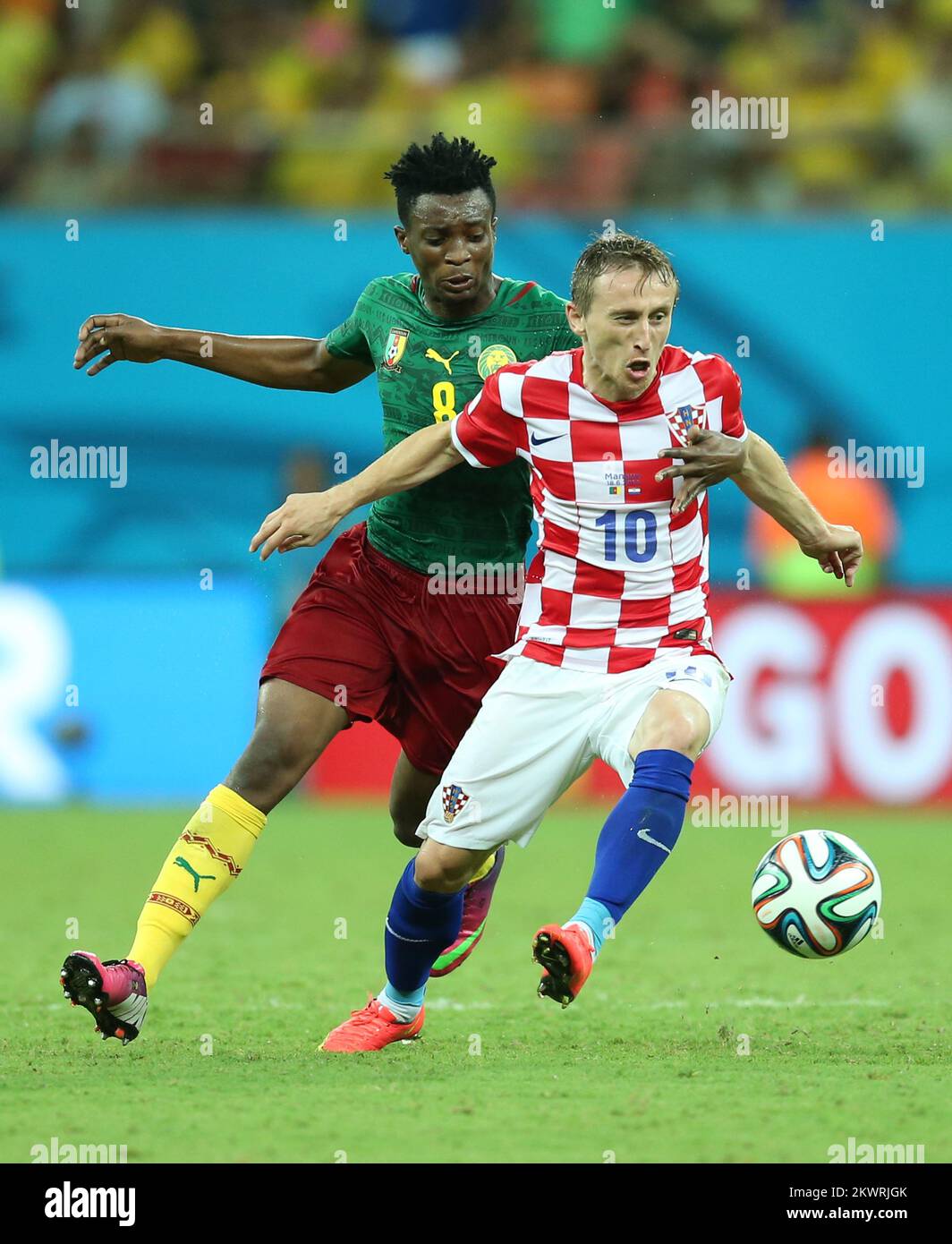 2014 FIFA World Cup group A game against Cameroon and Croatia. Luka Modric, Benjamin Moukandjo Photo: Sanjin Strukic/PIXSELL Stock Photo
