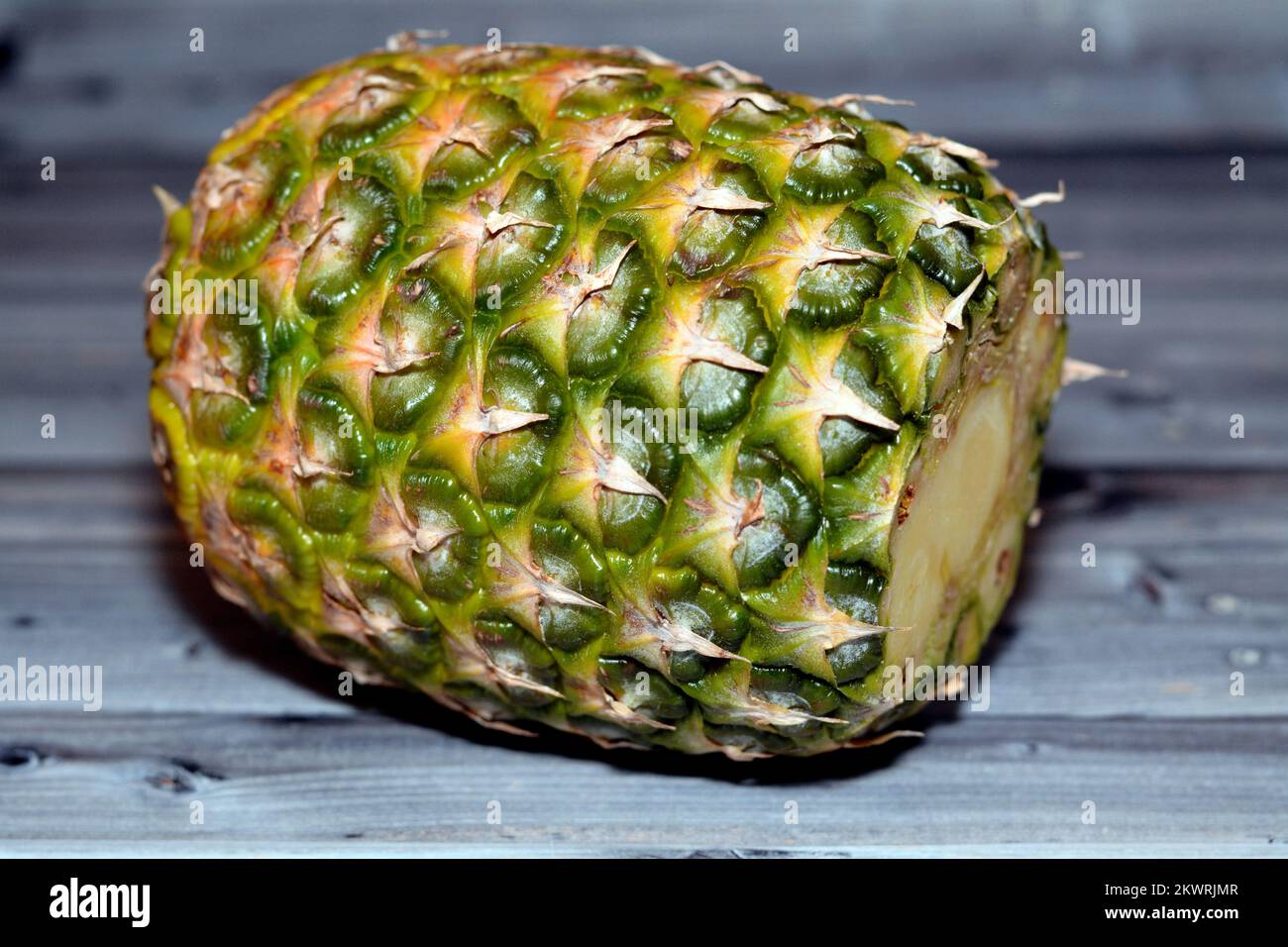 The Pineapple (Ananas comosus), a tropical plant with an edible fruit