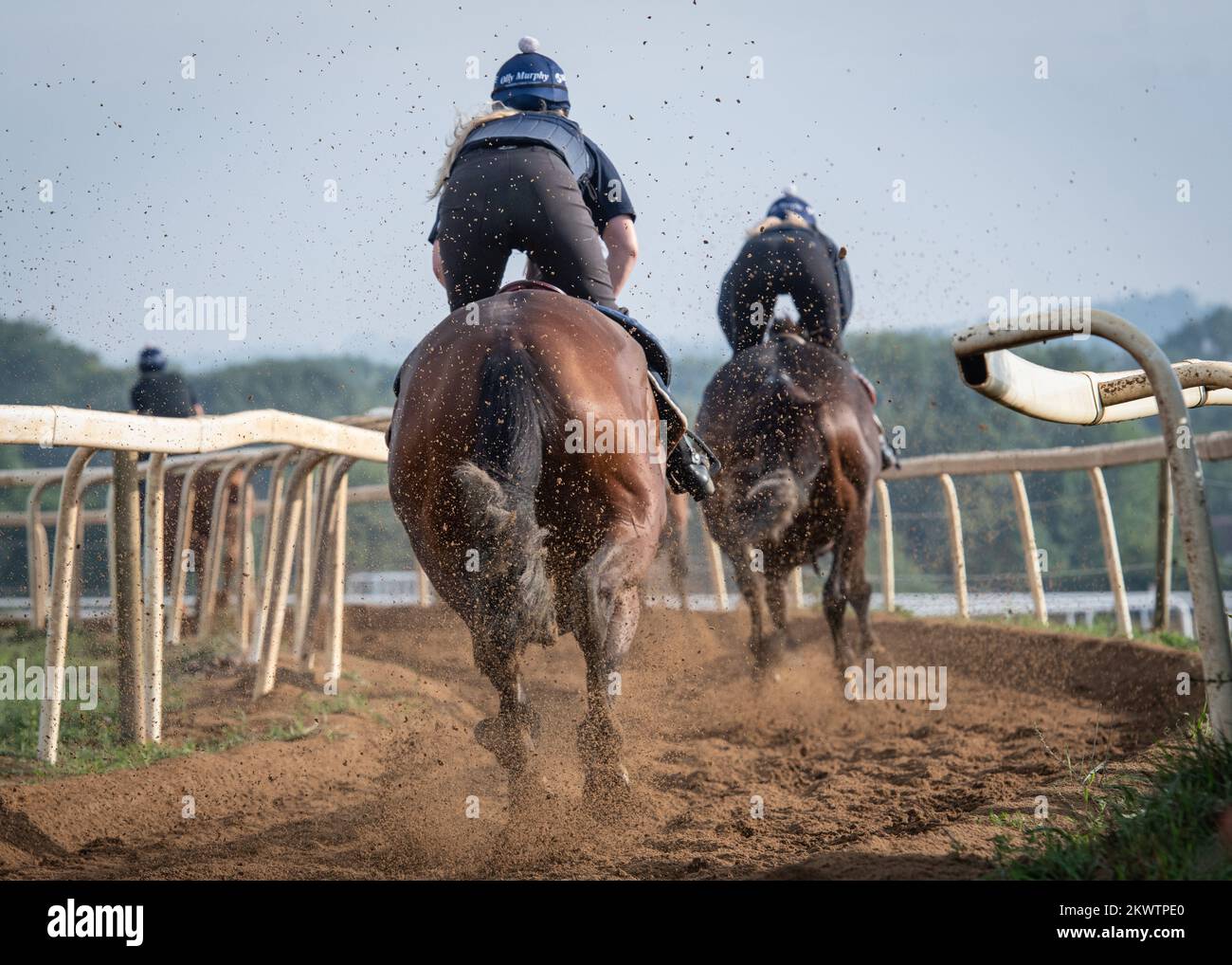 Racehorses training in deep sand Stock Photo Alamy