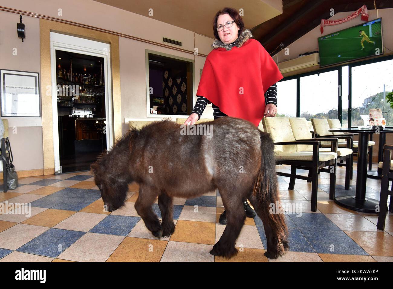 18.12.2015., Zadar, Croatia Owners of coffee shop Timon have best