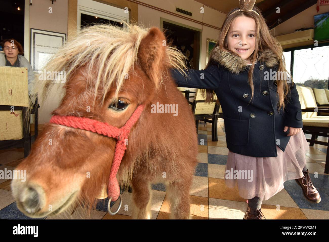 18.12.2015., Zadar, Croatia Owners of coffee shop Timon have best