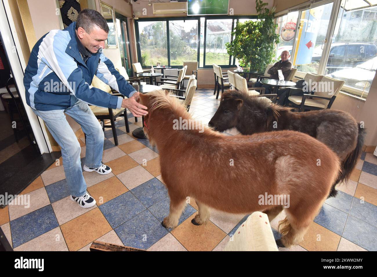 18.12.2015., Zadar, Croatia Owners of coffee shop Timon have best attraction for visitors, two