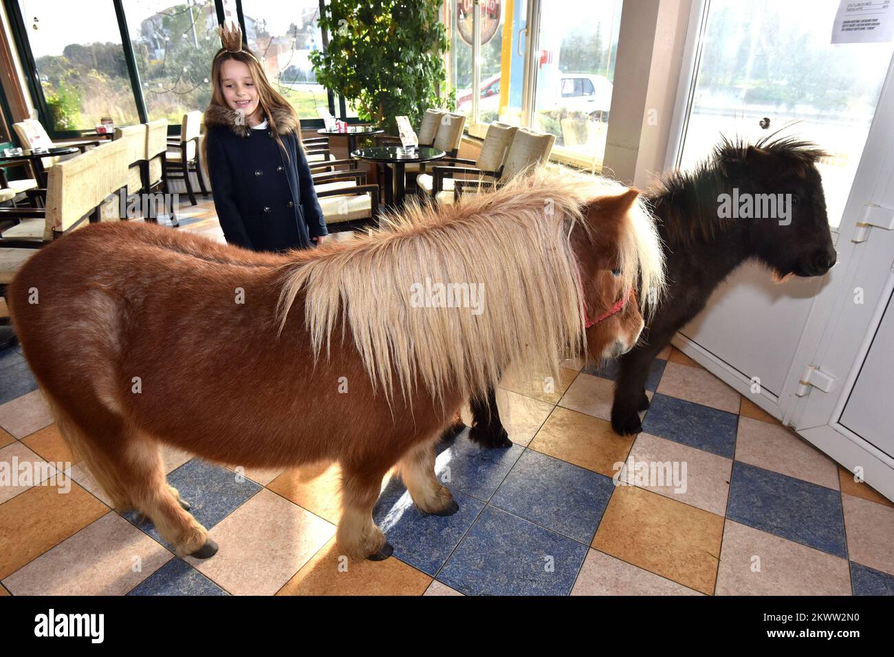 18.12.2015., Zadar, Croatia Owners of coffee shop Timon have best