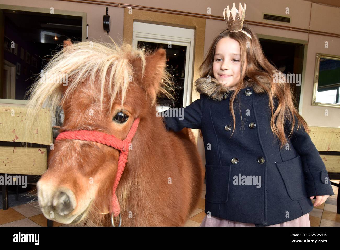 18.12.2015., Zadar, Croatia Owners of coffee shop Timon have best attraction for visitors, two