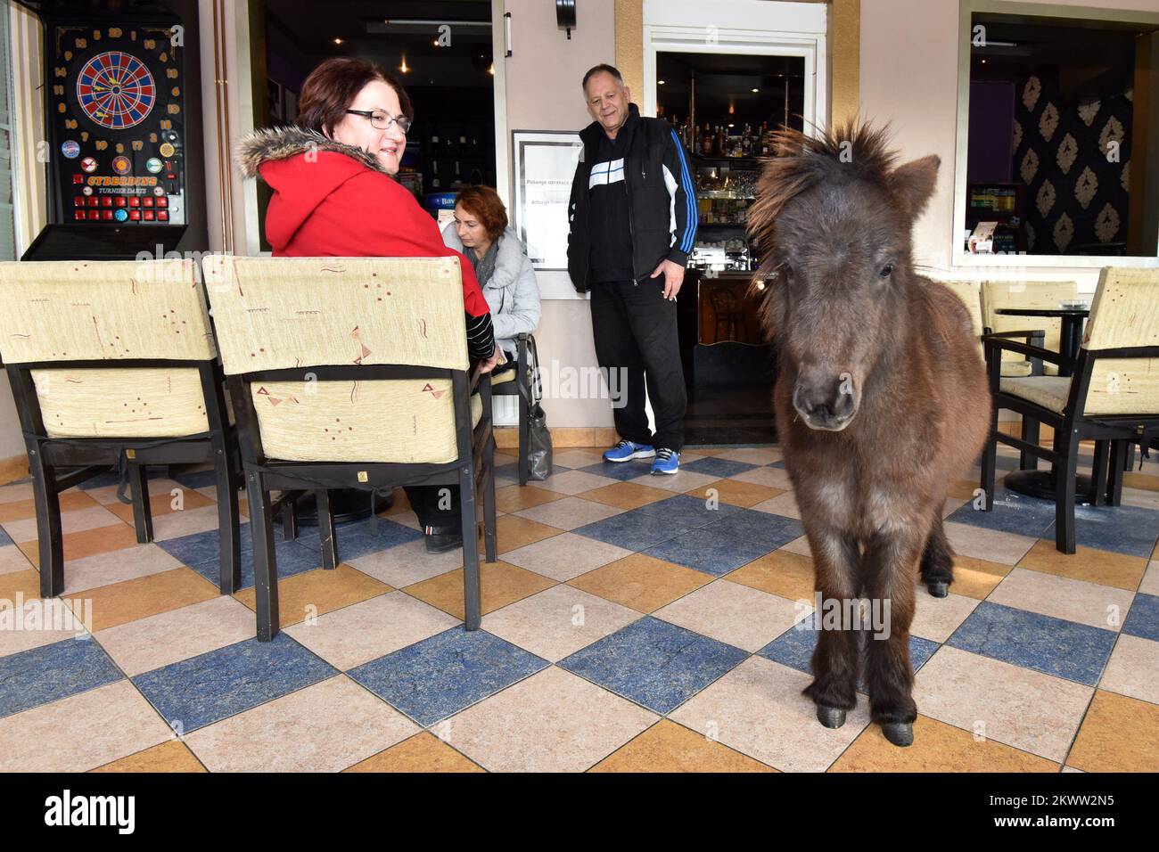 18.12.2015., Zadar, Croatia Owners of coffee shop Timon have best