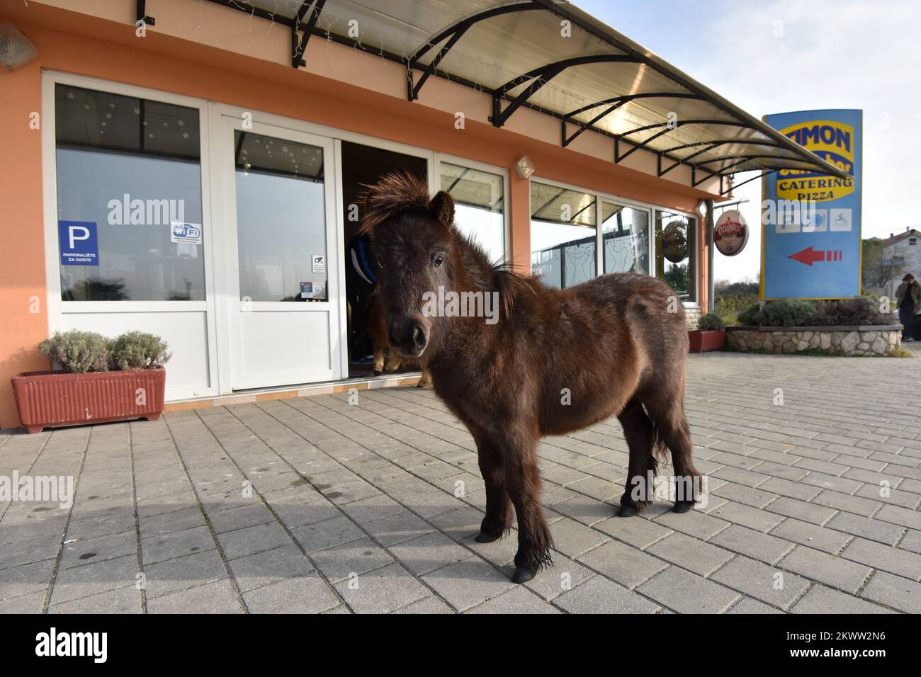 18.12.2015., Zadar, Croatia Owners of coffee shop Timon have best