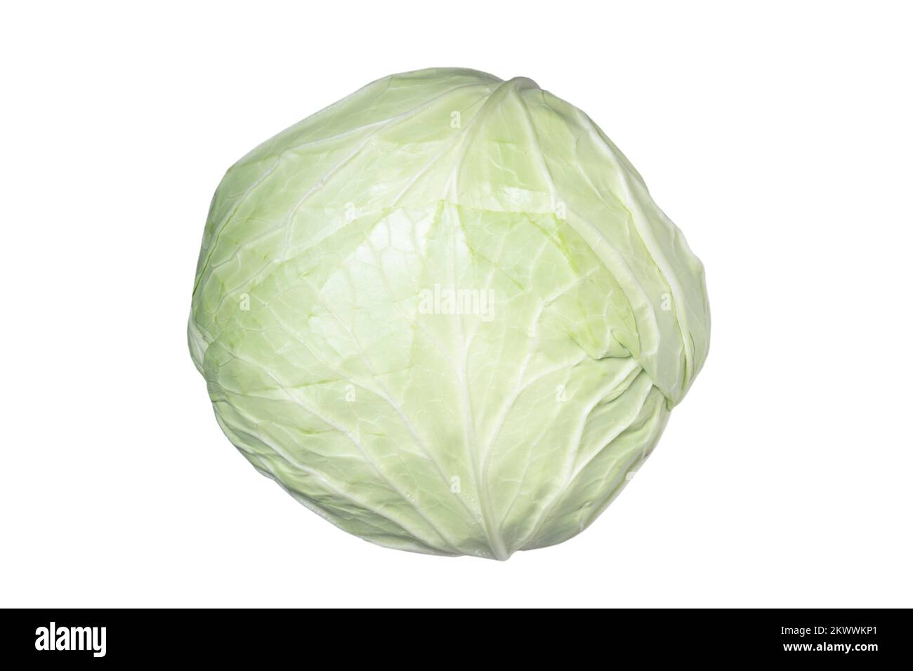 Cabbage head isolated on white background. A ripe whole cabbage ...