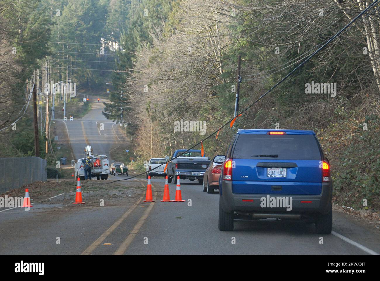 WA Wind Storm.. Photographs Relating to Disasters and Emergency
