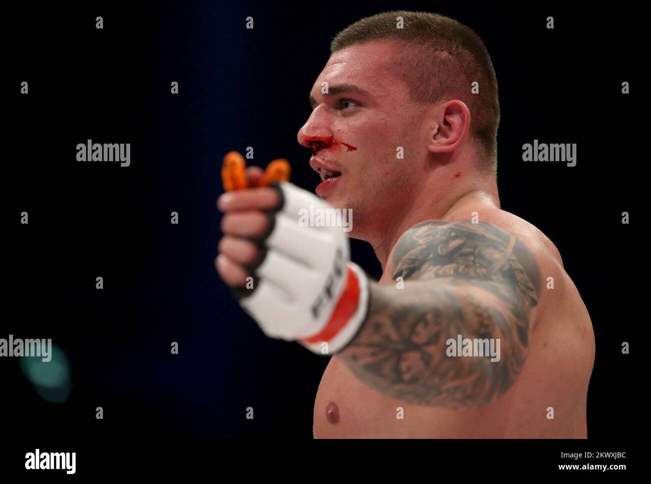 Dion staring hi-res stock photography and images - Alamy, image size:1300x967