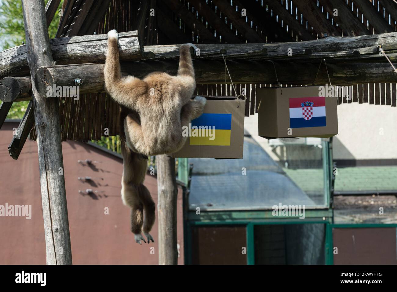 Monkey food box hires stock photography and images Alamy