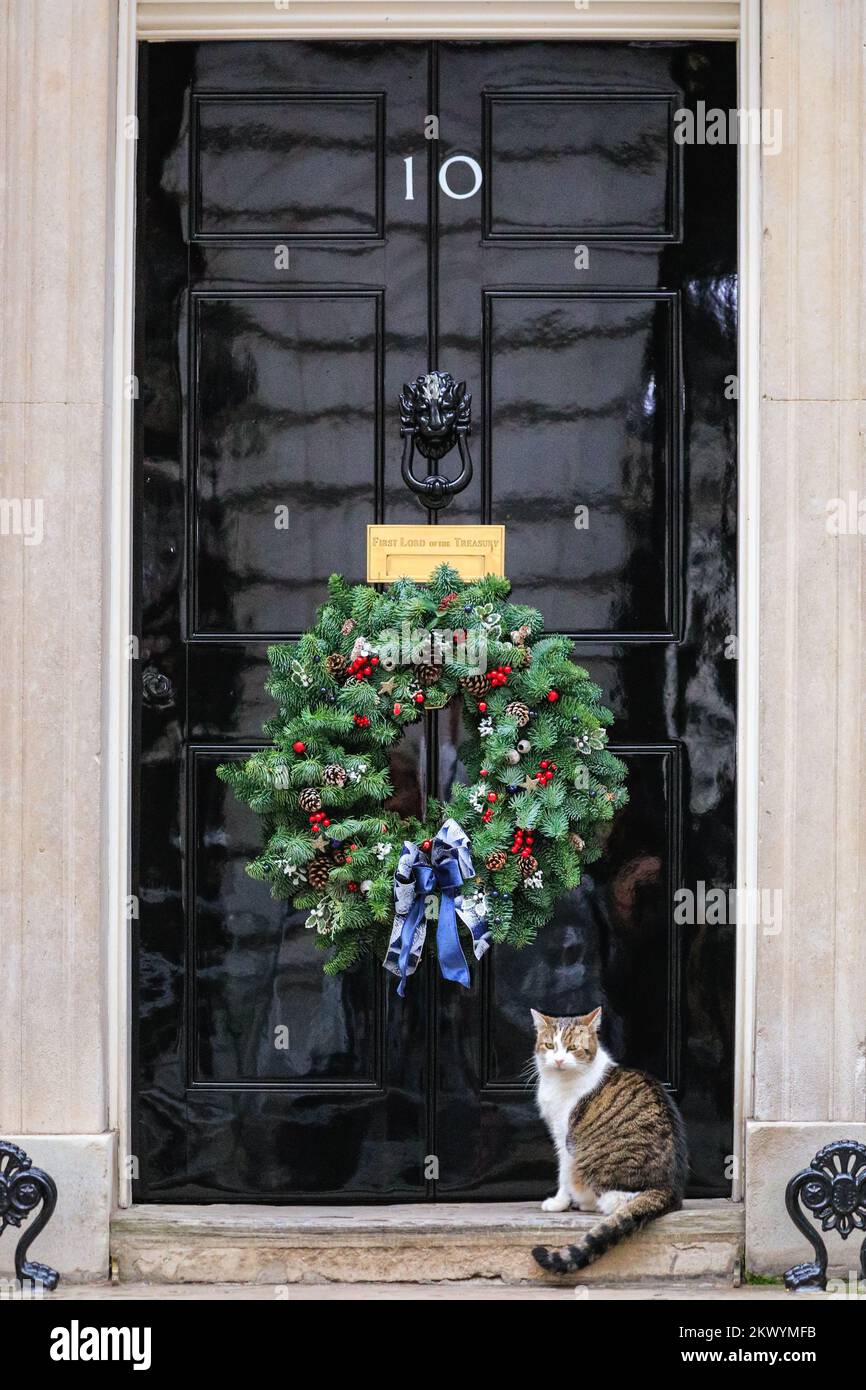 London, UK. 30th Nov, 2022. Larry the Cat, Chief Mouser and famous feline of Downing Street, sits patiently at the 10 Downing Street black door under a festive Christmas wreath today, then goes to investigate the pretty Christmas Tree and its decorations. Credit: Imageplotter/Alamy Live News Stock Photo