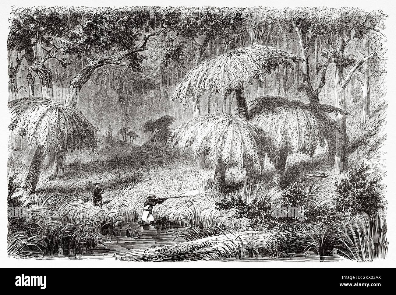 Lyrebird hunting in Australian states of Victoria, Australia. Souvenir of a French squatter in Australia by H. de Castella 1854-1856 Stock Photo