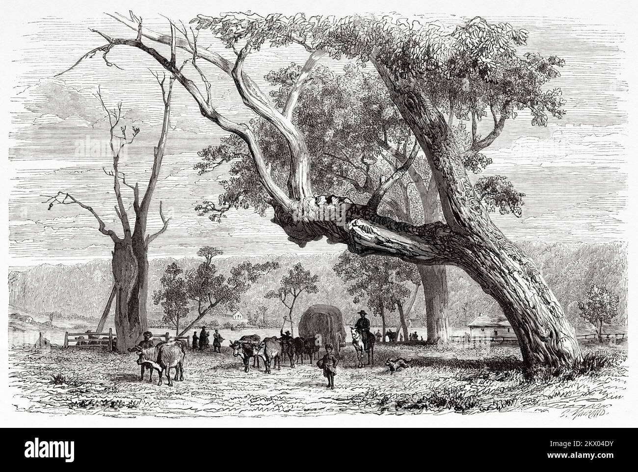 Old view of Dalry station, Australian states of Victoria, Australia. Souvenir of a French squatter in Australia by H. de Castella 1854-1856 Stock Photo