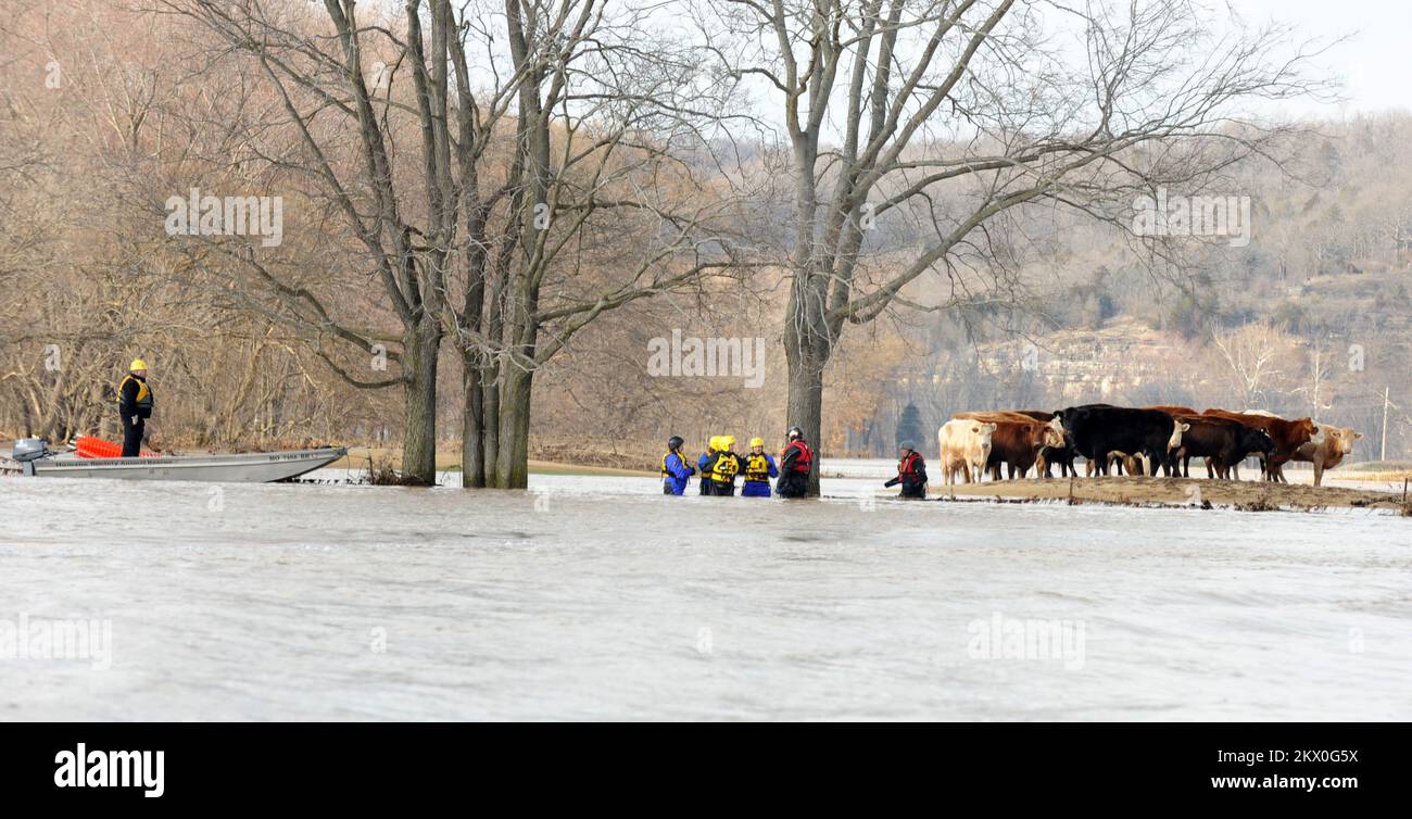 Missouri Rescue Missouri humane society hi-res stock photography and images - Alamy