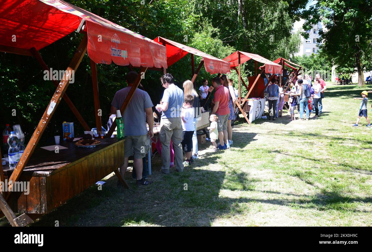 28.05.2017., Jadran film, Zagreb, Croatia - 6th Croatian Science Picnic ...