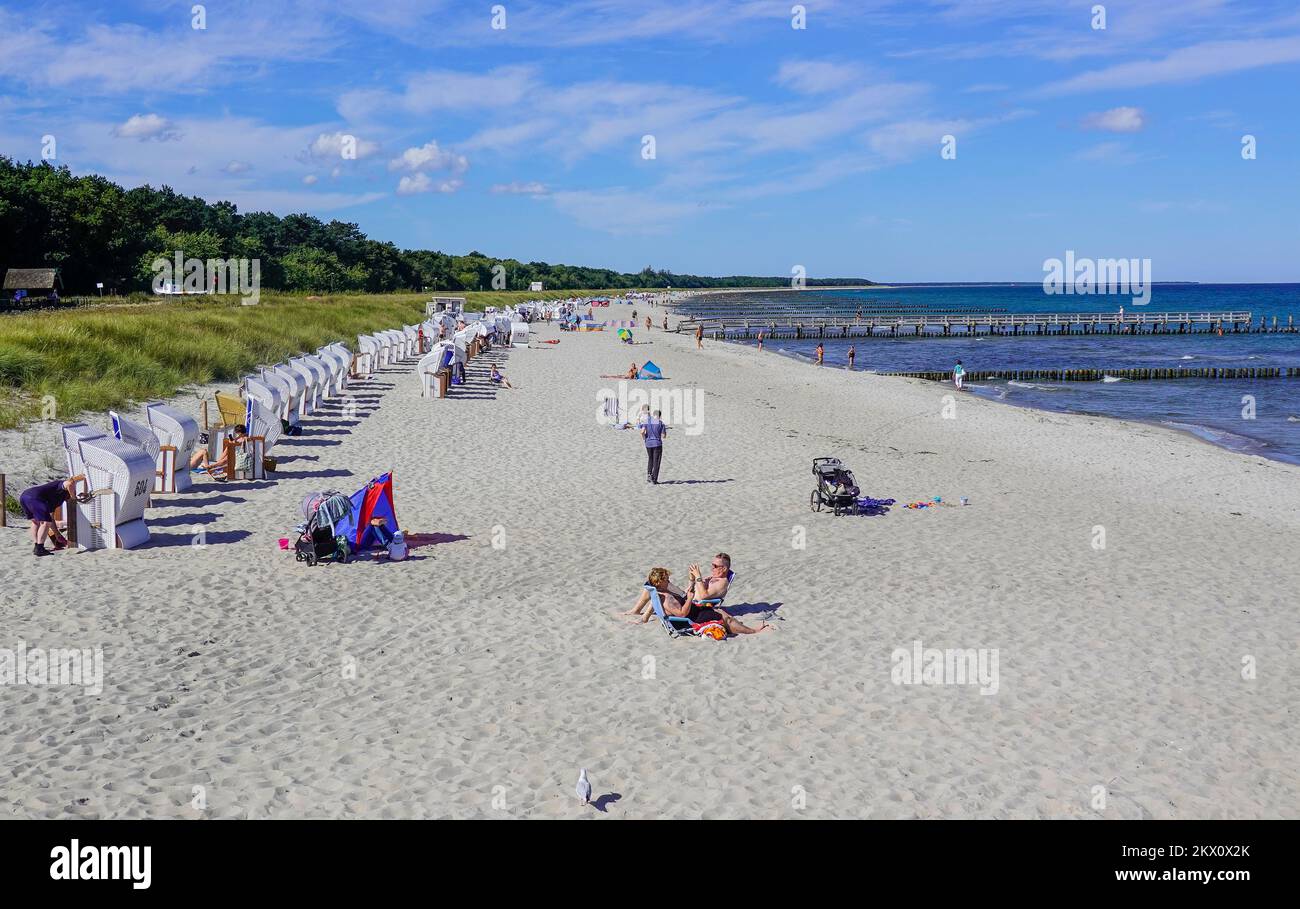 Rapskafer Plage Ostsee