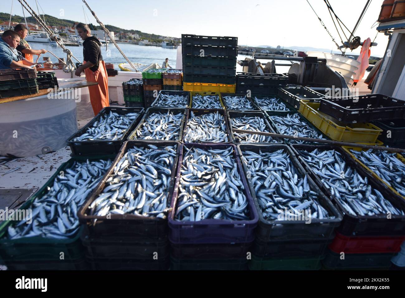 23.09.2017., Tribunj, Croatia - After the adverse weather conditions ...