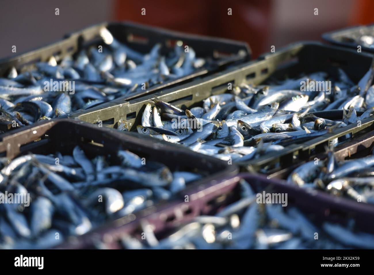 23.09.2017., Tribunj, Croatia - After the adverse weather conditions ...