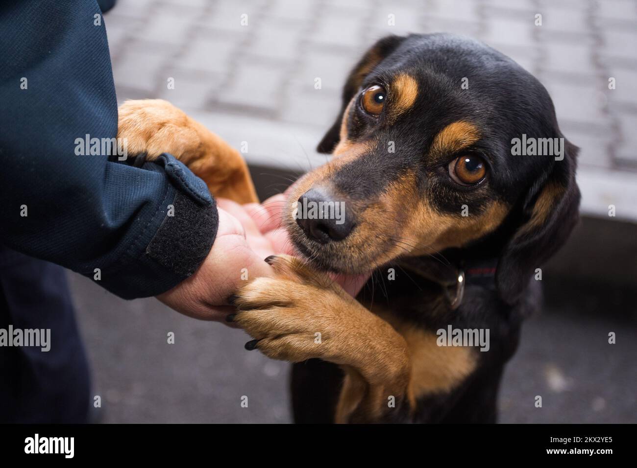 Unwanted candy hi-res stock photography and images - Alamy