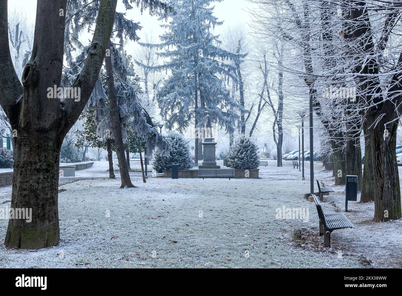 Trees and benches in urban park of Alba, Italy covered with hoarfrost in the morning. Stock Photo