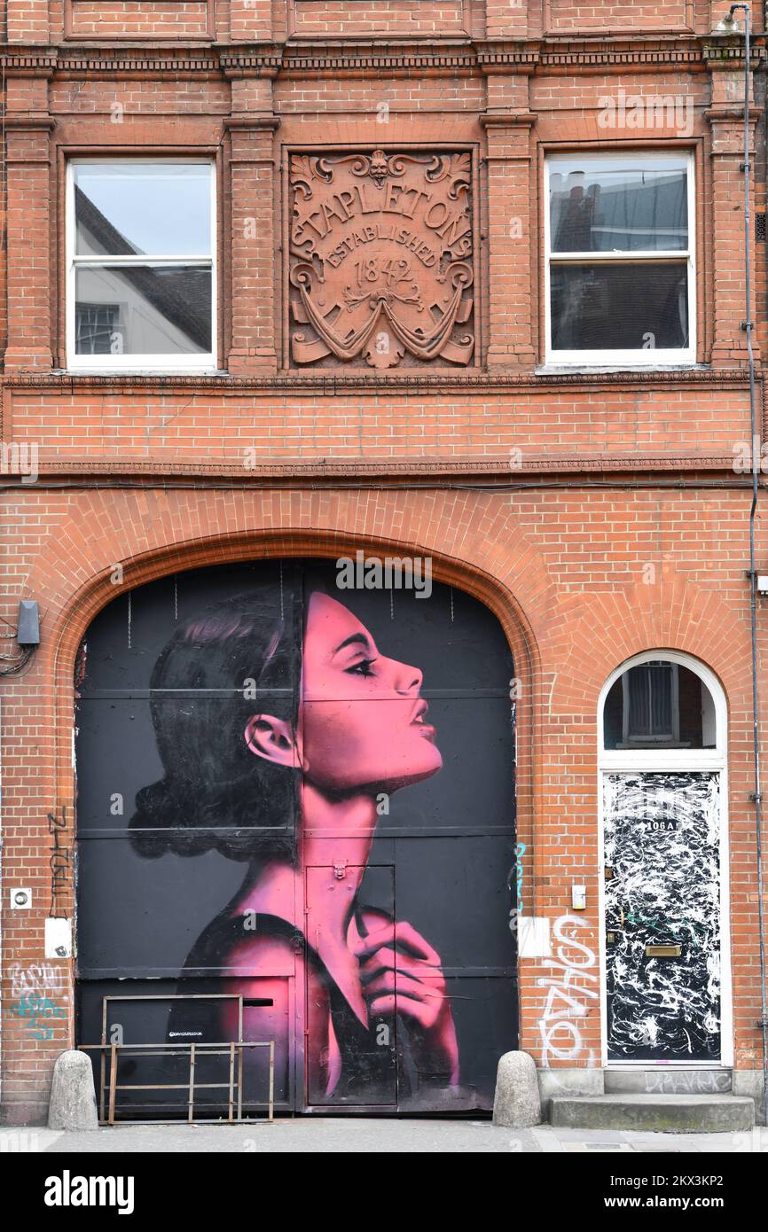 street art painted woman girl on gate door entrance in Commercial
