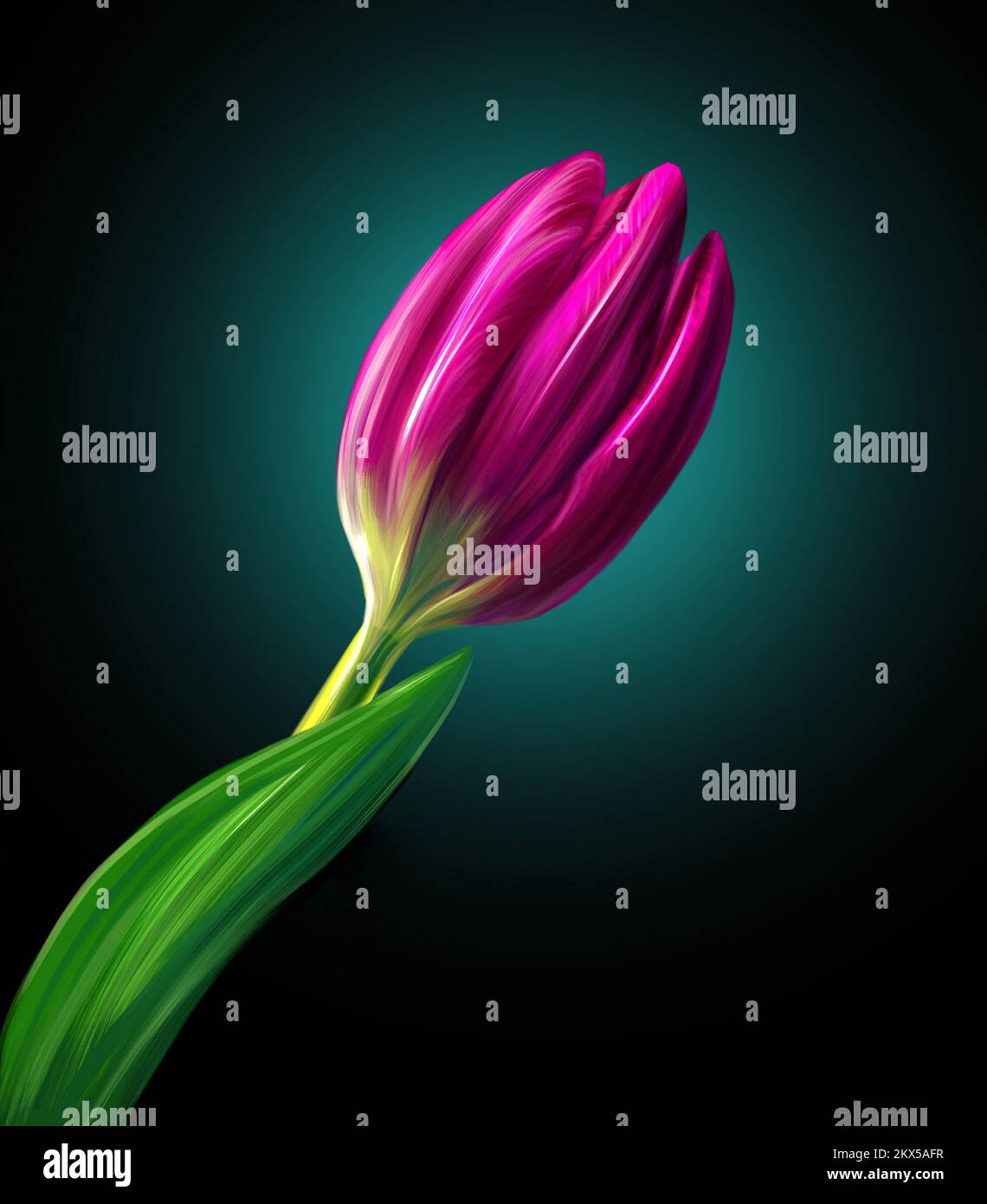 Digital drawing of three tulips Stock Photo Alamy