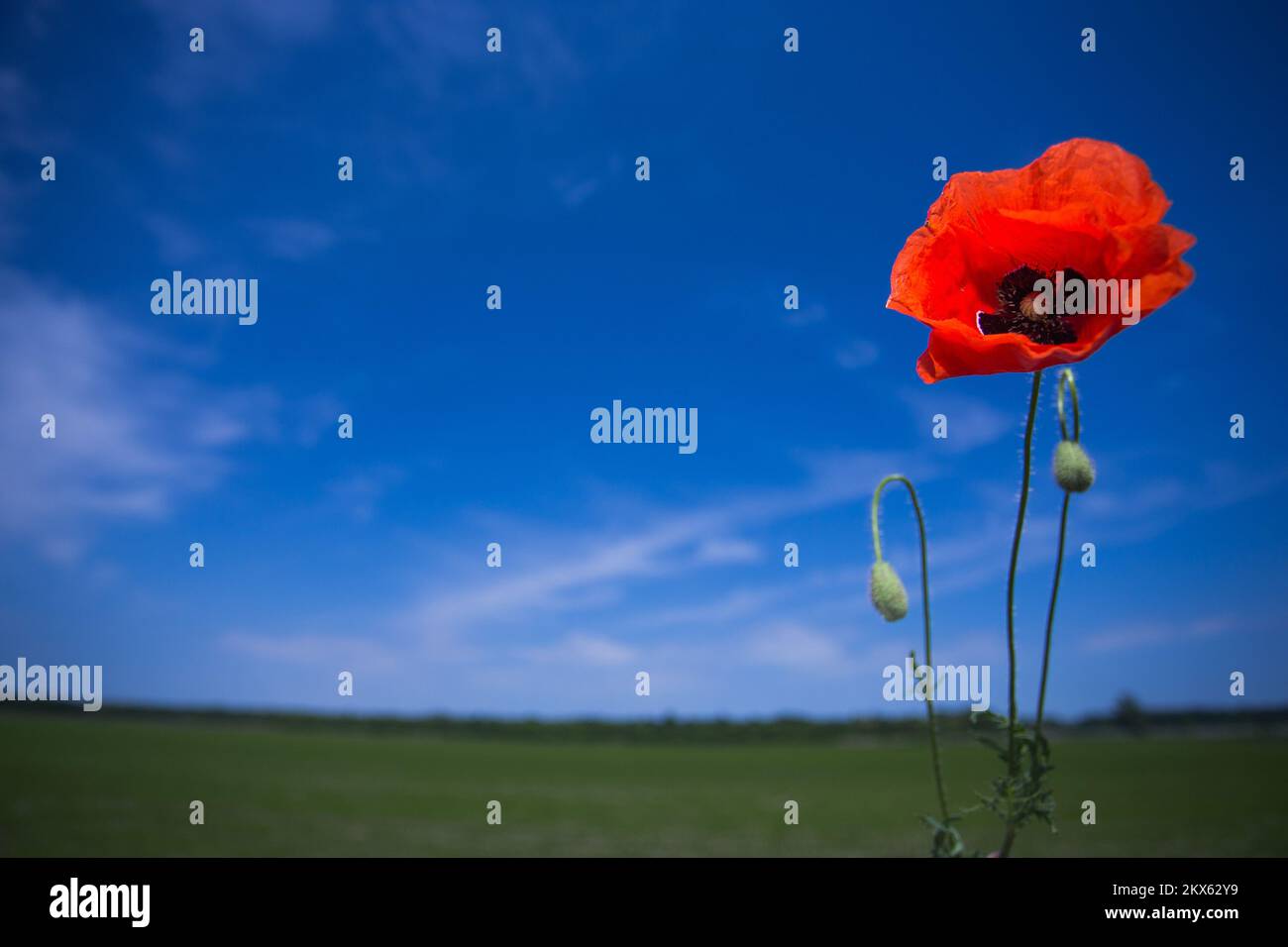 Rit 05 hi-res stock photography and images - Alamy