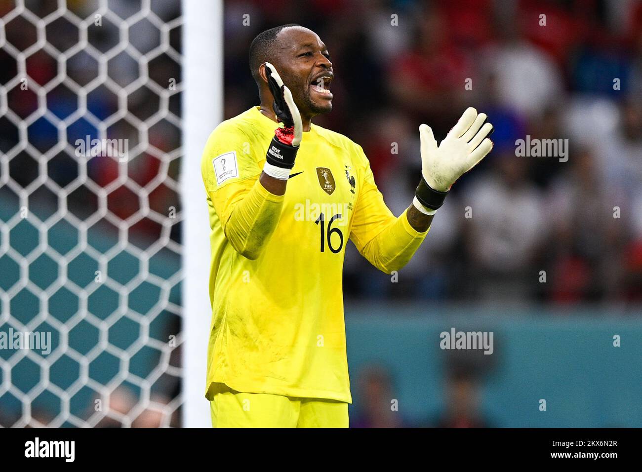 AL RAYYAN, QATAR - NOVEMBER 30: Steve Mandanda of France reacts during the Group D - FIFA World Cup Qatar 2022 match between Tunisia and France at the Education City Stadium on November 30, 2022 in Al Rayyan, Qatar (Photo by Pablo Morano/BSR Agency) Credit: BSR Agency/Alamy Live News Stock Photo