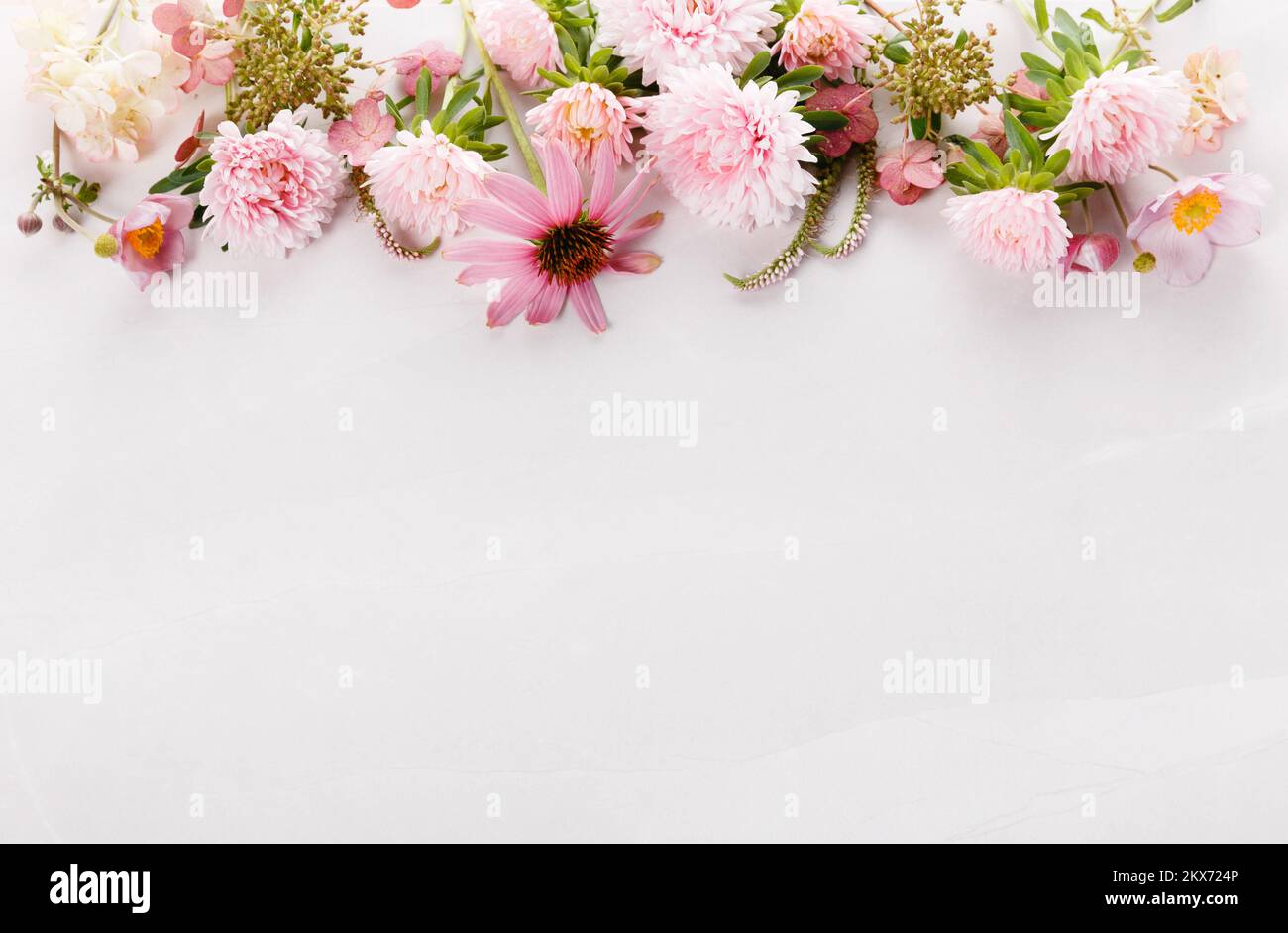 Autumn creative composition asters, hydrangea flowers on gray background. Fall, autumn background. Stock Photo