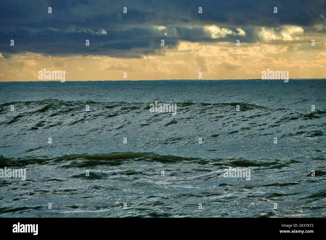 A seven-point storm happens every ten years. Cataclysms and weather phenomena at sea, storms and hurricane in autumn Stock Photo