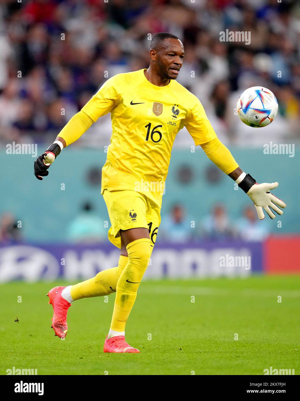 France goalkeeper Steve Mandanda during the FIFA World Cup Group D match at the Education City Stadium in Al Rayyan, Qatar. Picture date: Wednesday November 30, 2022. Stock Photo