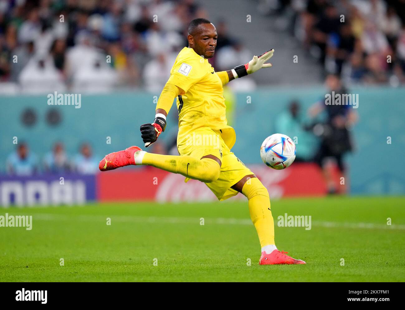 France goalkeeper Steve Mandanda during the FIFA World Cup Group D match at the Education City Stadium in Al Rayyan, Qatar. Picture date: Wednesday November 30, 2022. Stock Photo