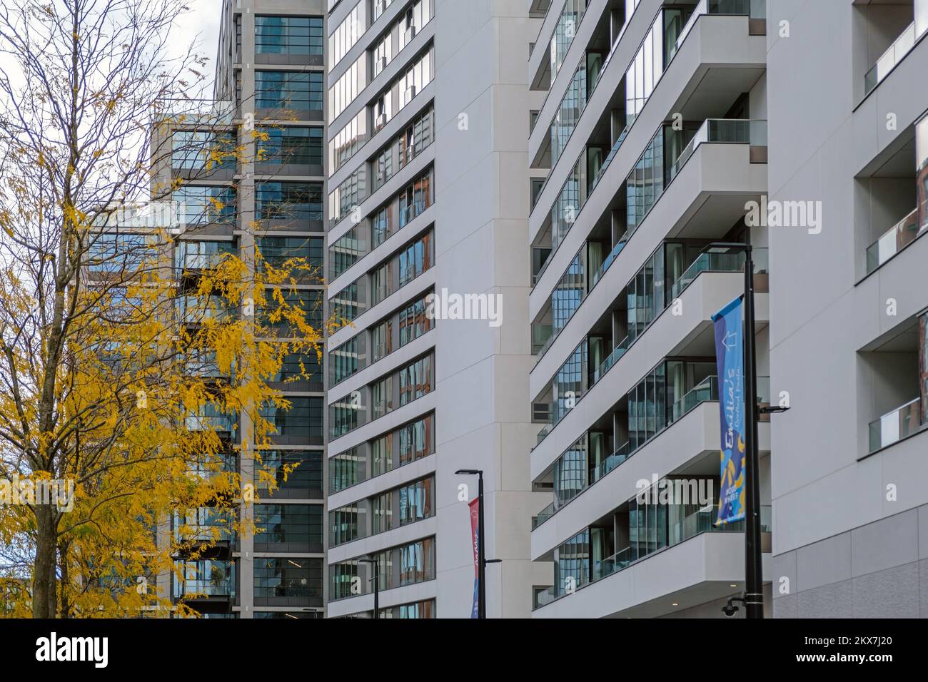 A tree’s leaves turning colours in autumn against high rise contemporary buildings at Water Street, Wood Wharf, Canary Wharf, East London, England. Stock Photo