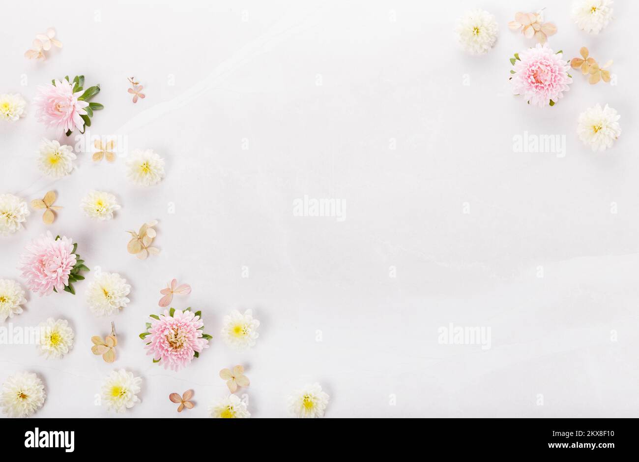 Frame of small flowers and daisy, floral arrangement Stock Photo