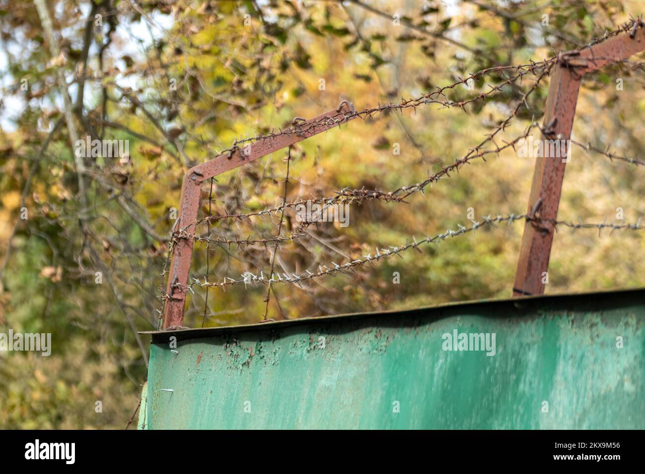 Green metal rusty fence with barbed wire on top with greenery, tree branches background. Territory border protection Stock Photo